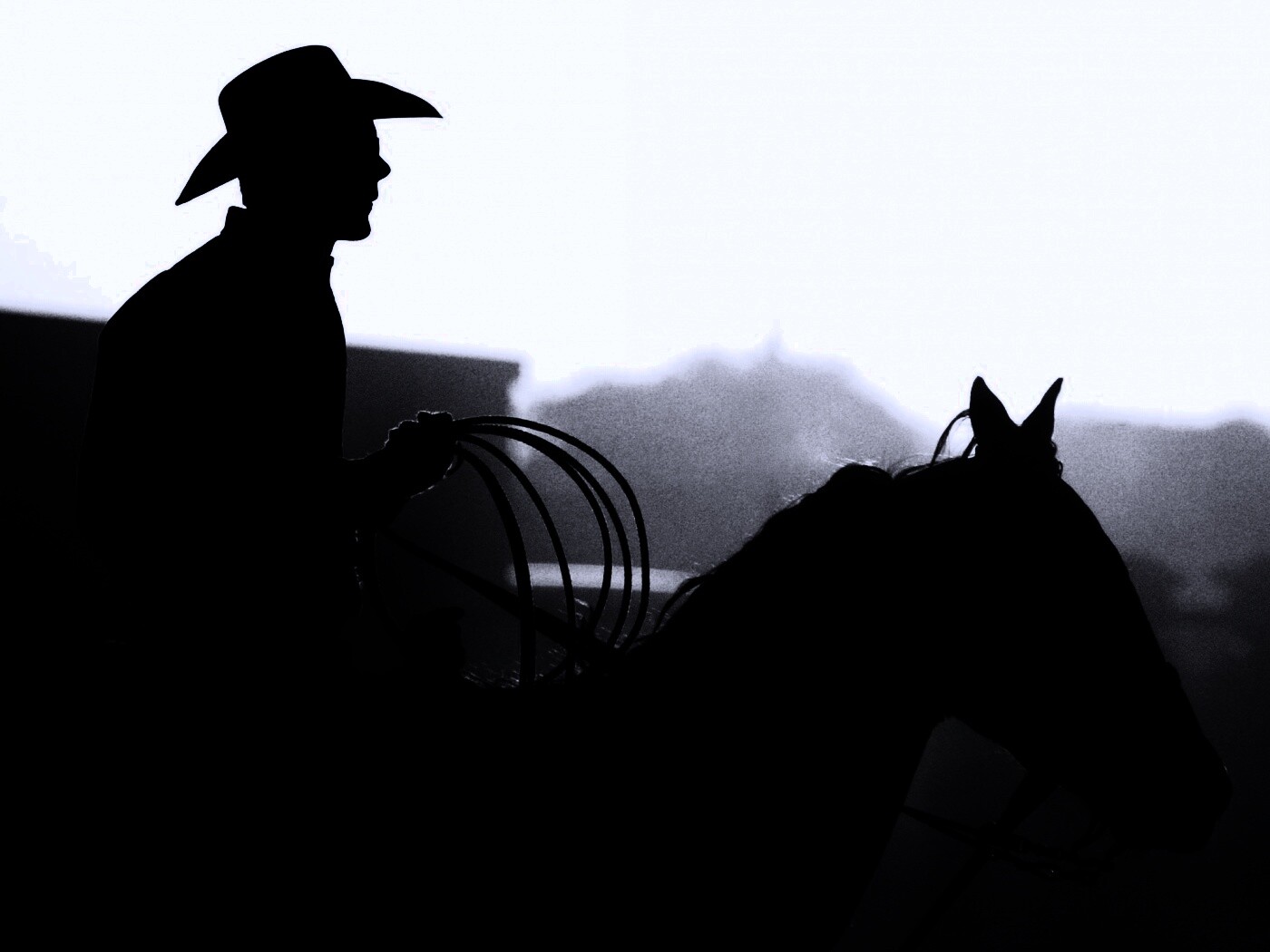 Ковбой с лассо на коне обои