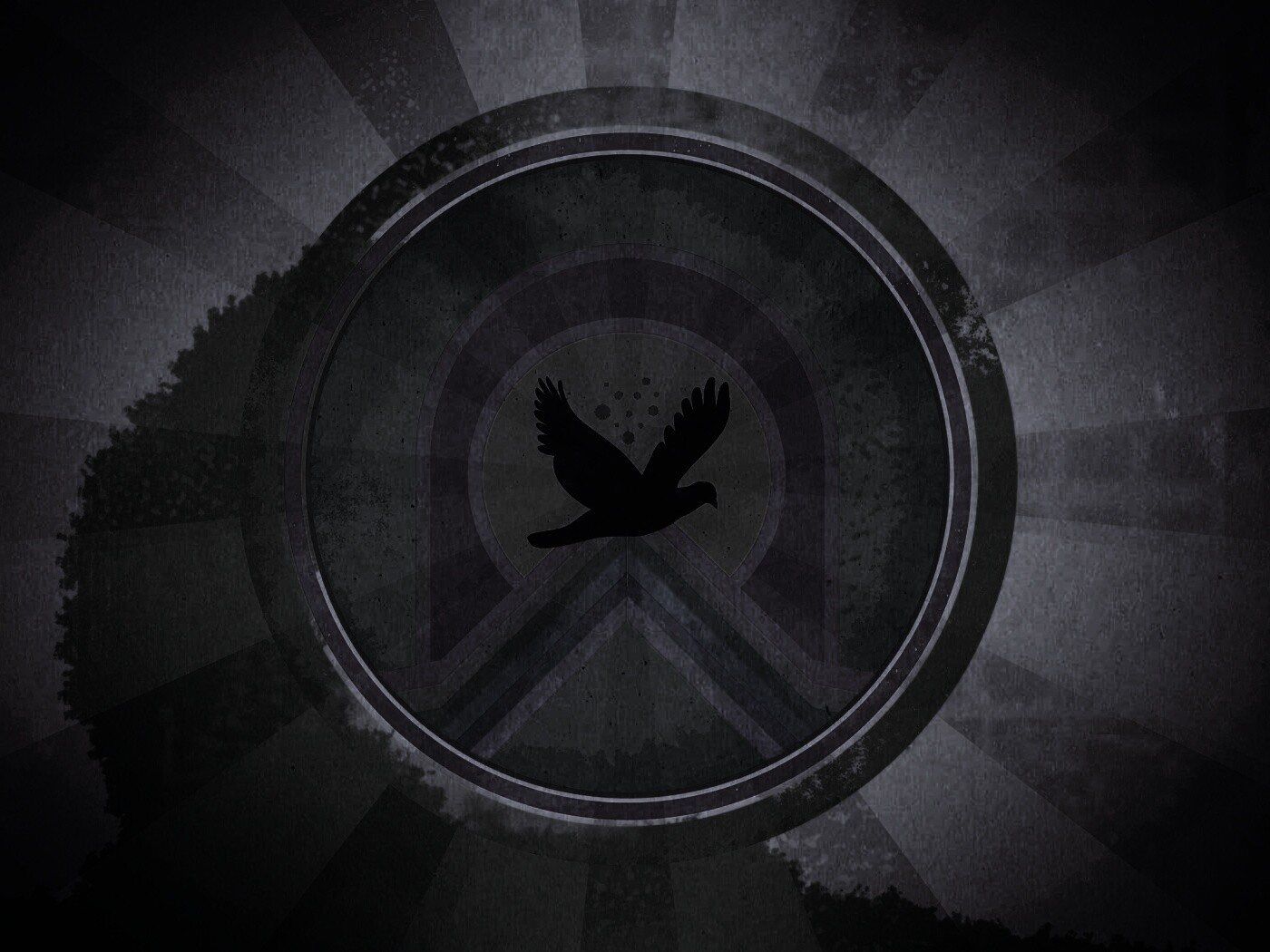 Голубь мира обои