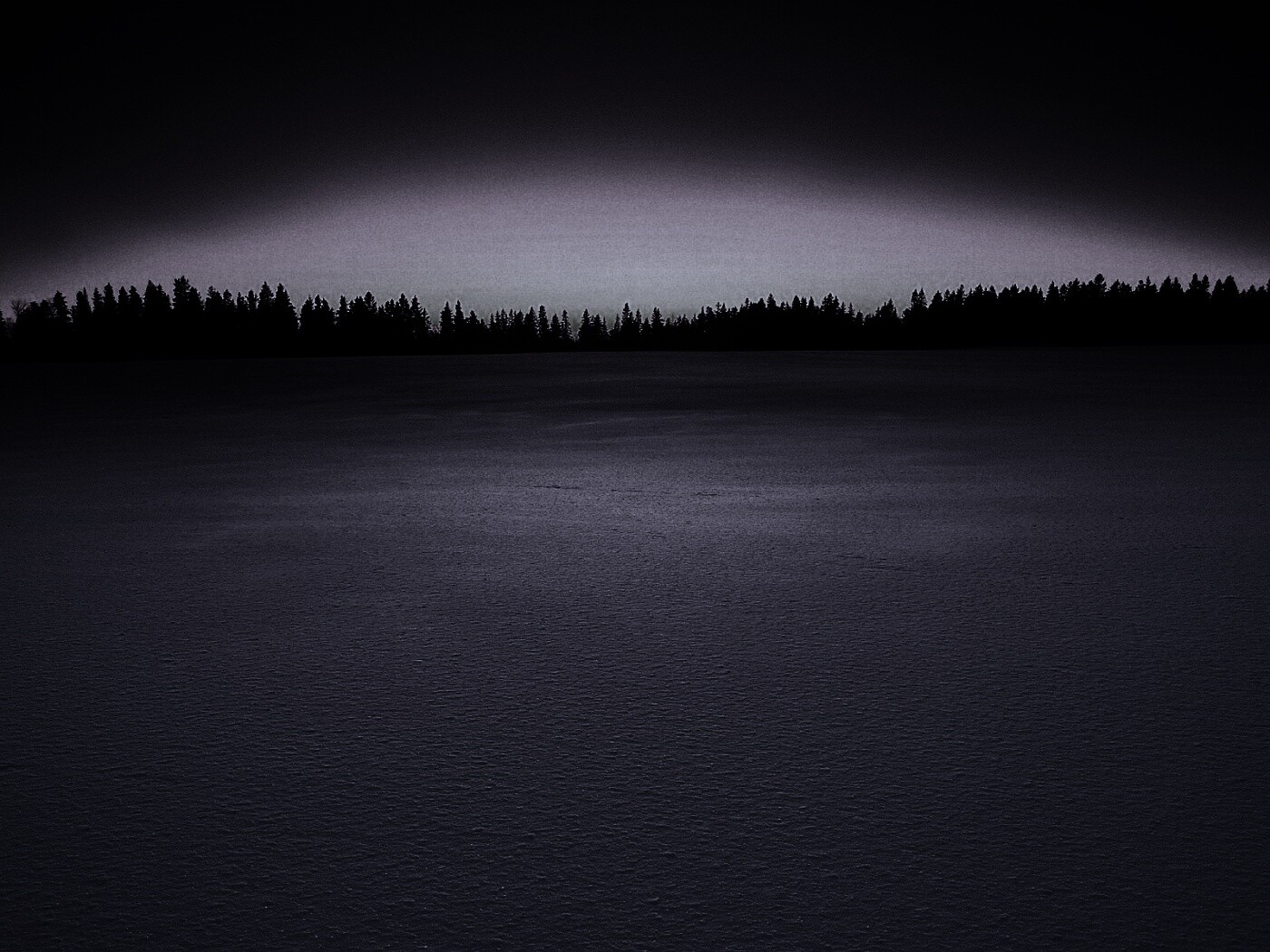 Восход над заснеженным лесом обои