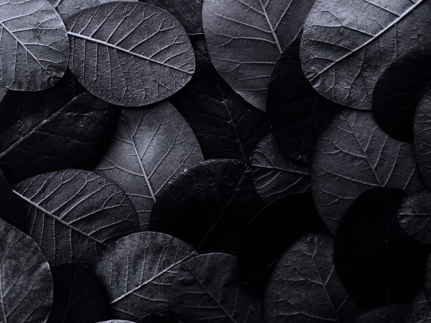 Лиственный узор обои