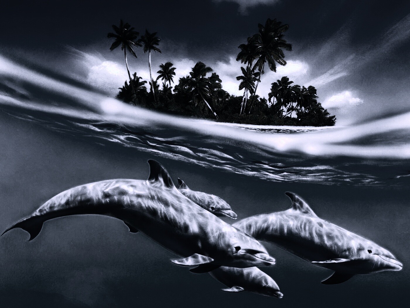 Остров дельфинов обои