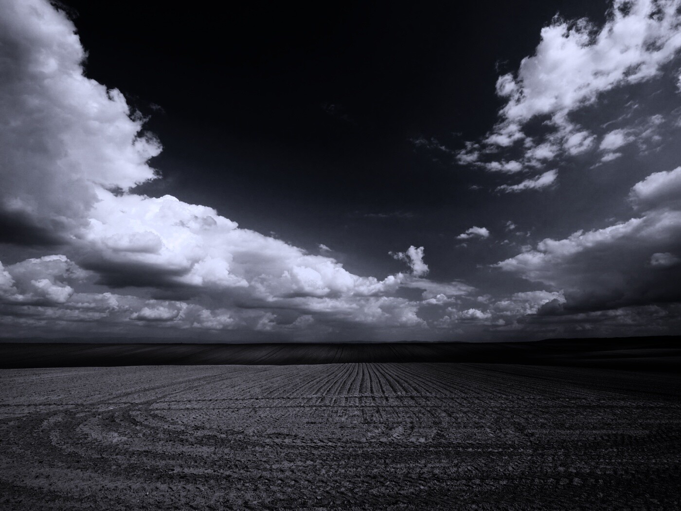 Незасеянное поле обои