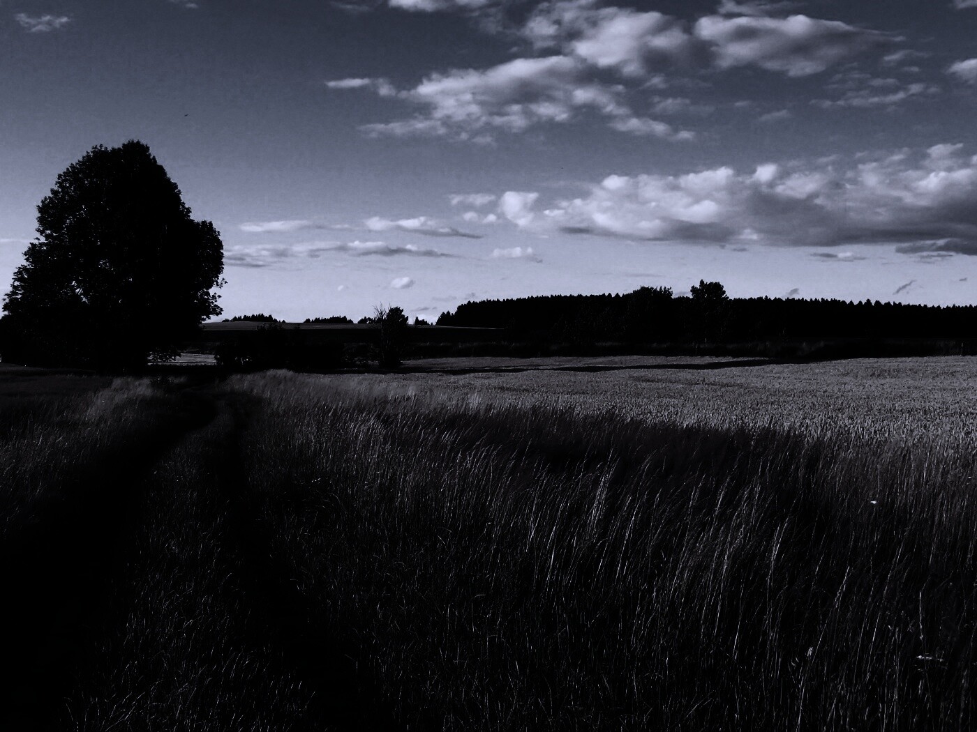 Колея в поле обои