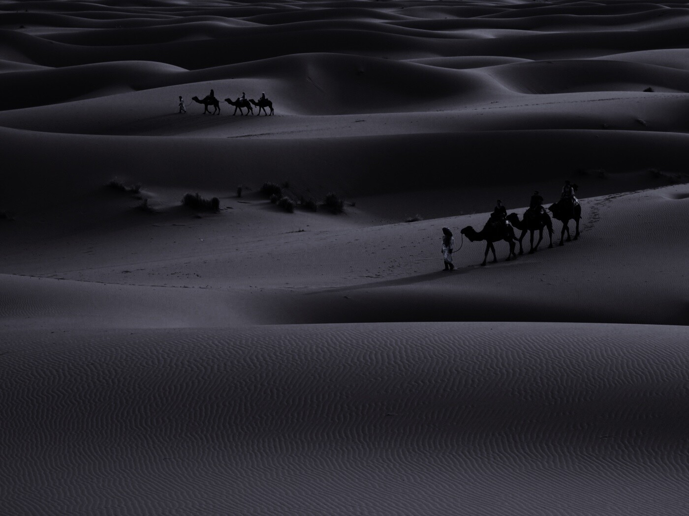 Караваны пустыни обои