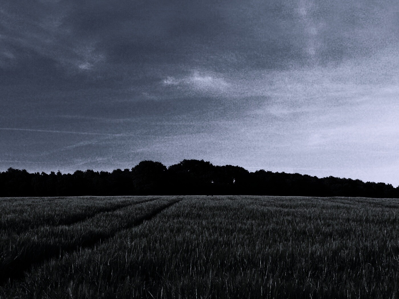 Следы колеи в поле обои