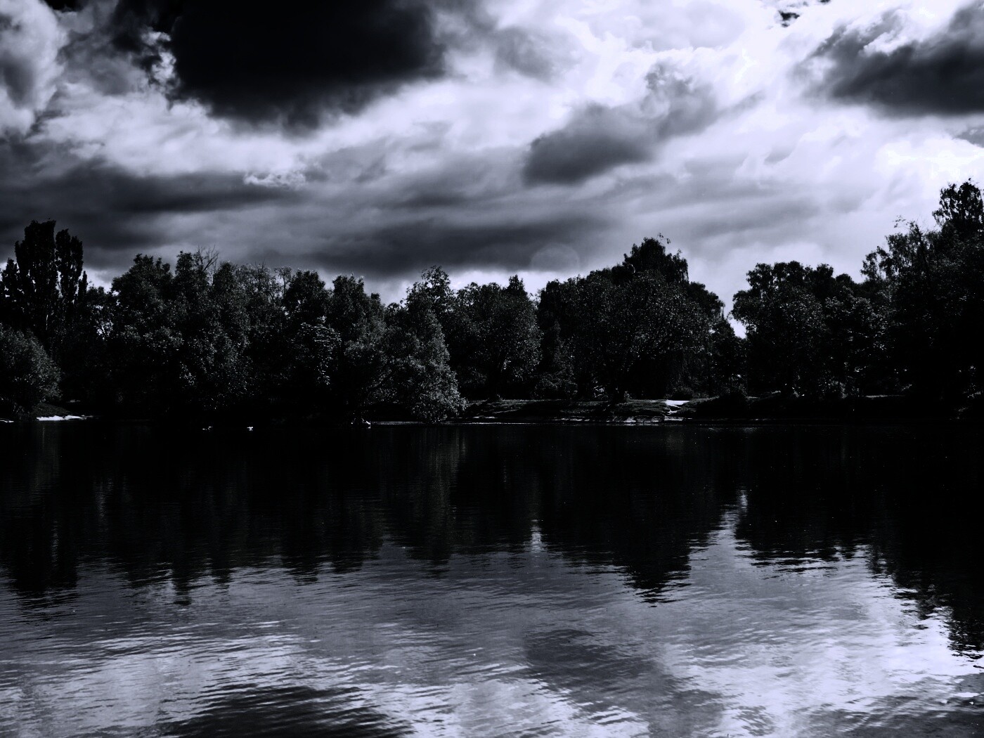 Деревья на берегу озера обои