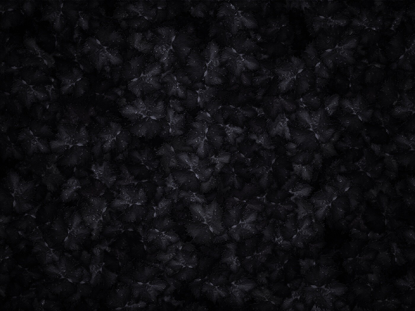 Осенние листья обои