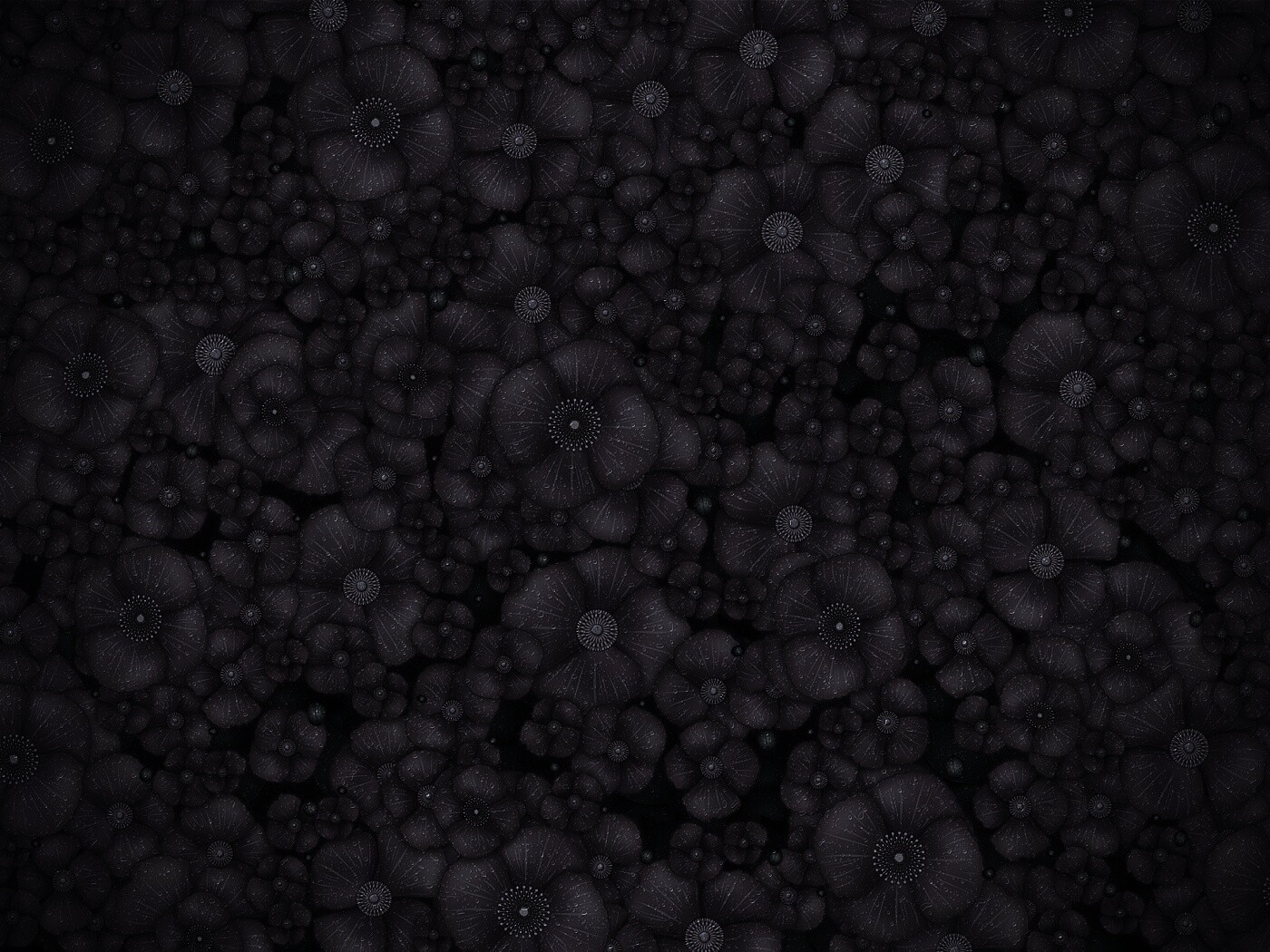 Рисунко с красными цветами обои