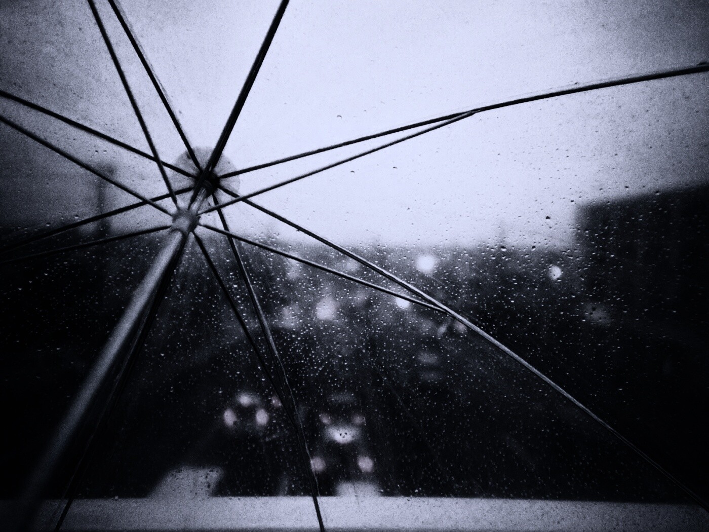 Вид сквозь прозрачный зонтик обои