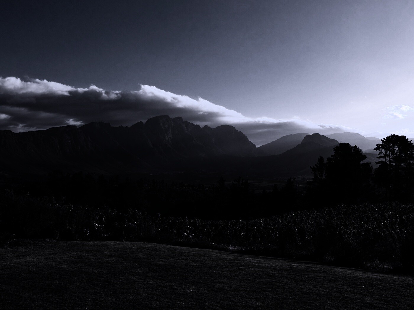 Виноградники в Африке обои