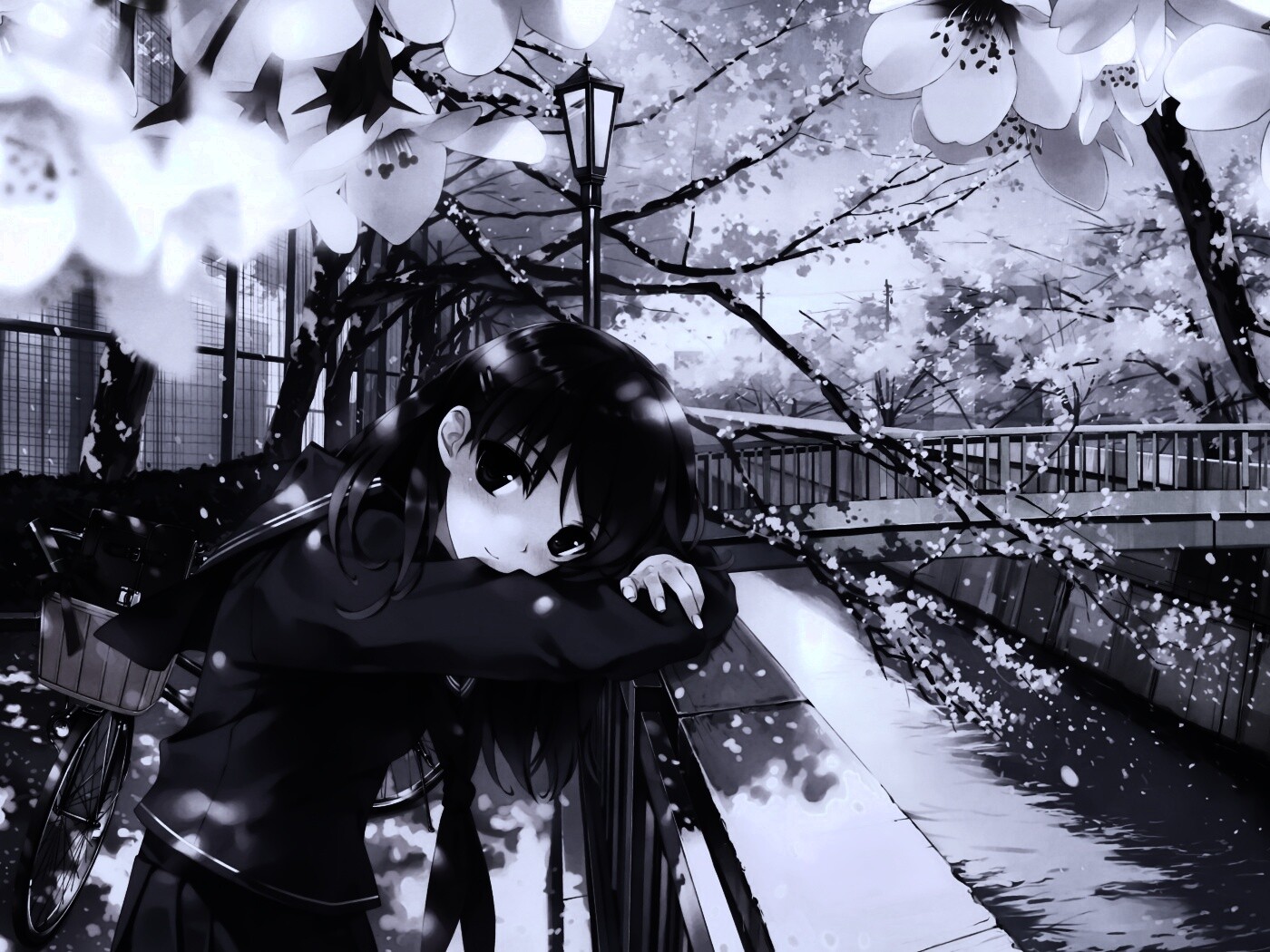 Девушка среди лепестков сакуры обои