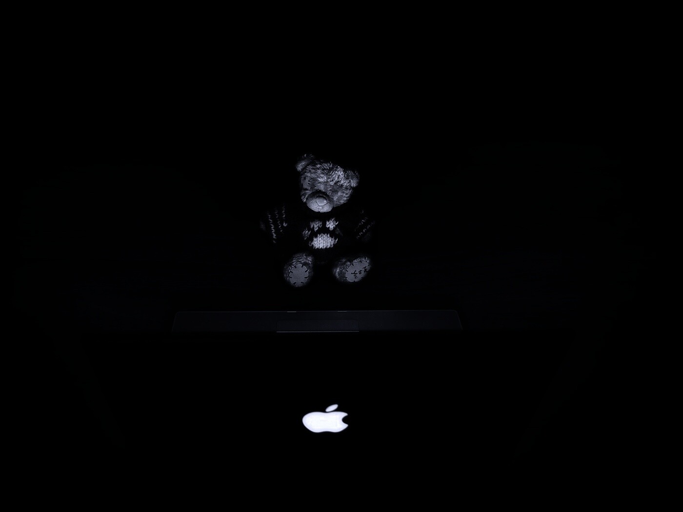 Плюшевый мишка за ноутбуком обои