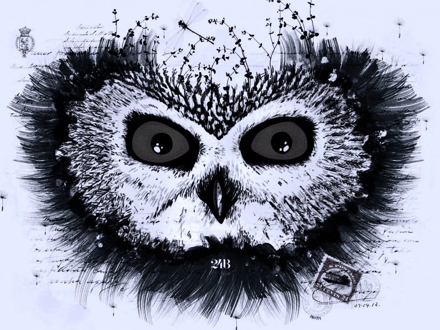 Обои сова для mac book обои