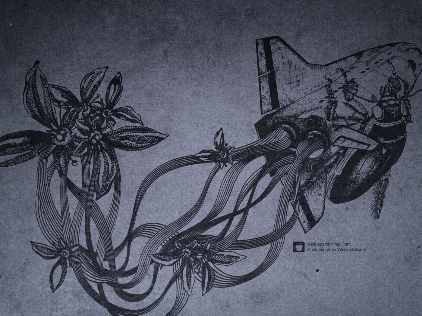 Абстракции для Apple обои