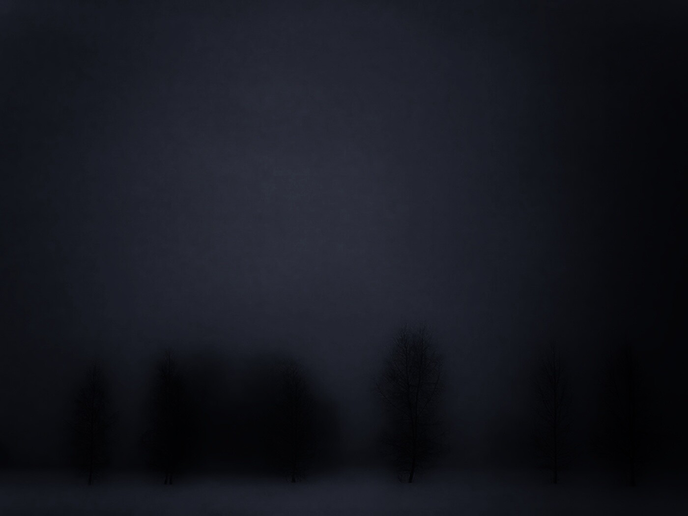 Деревья в тумане обои