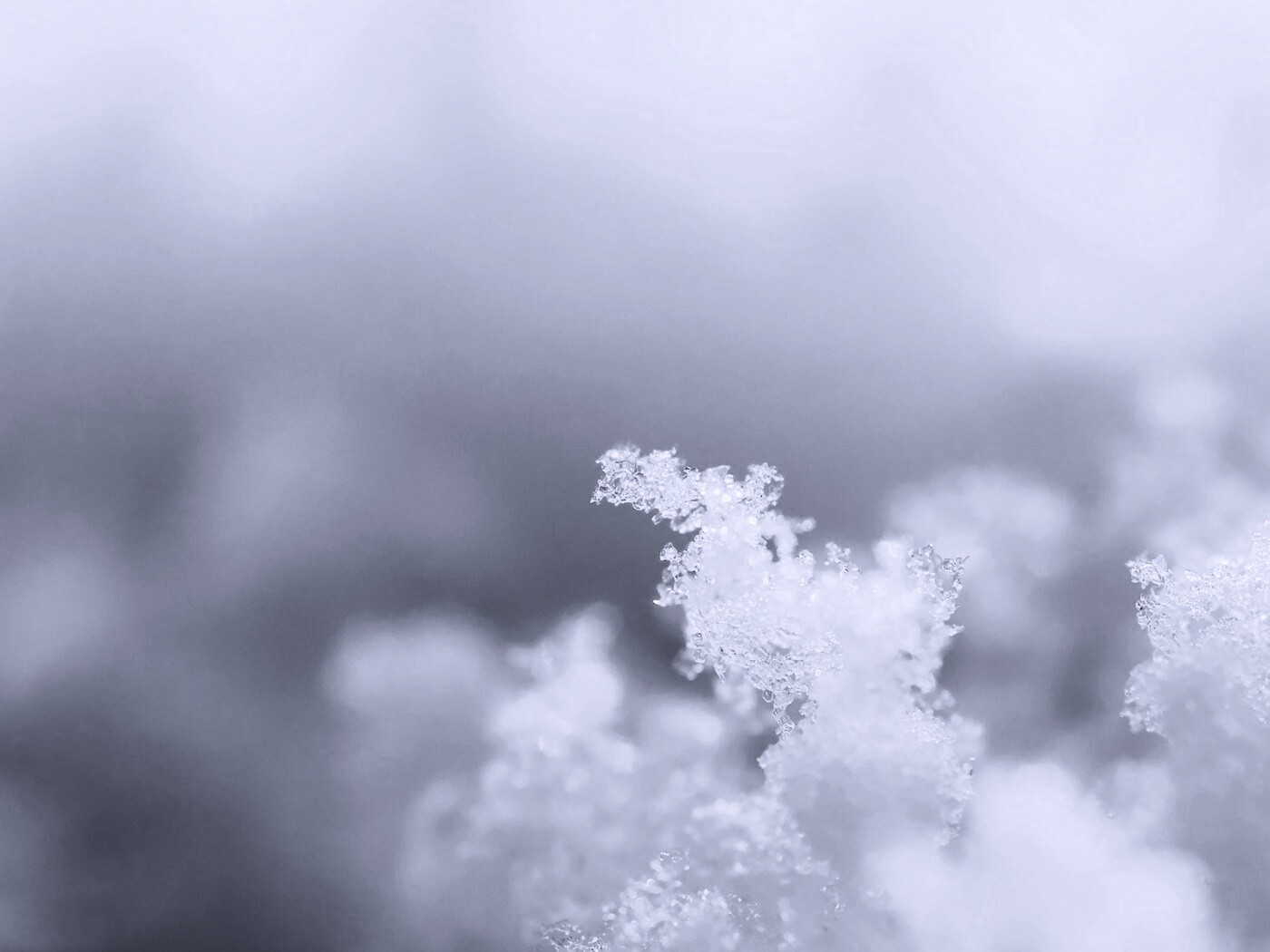 Макро фото снега обои