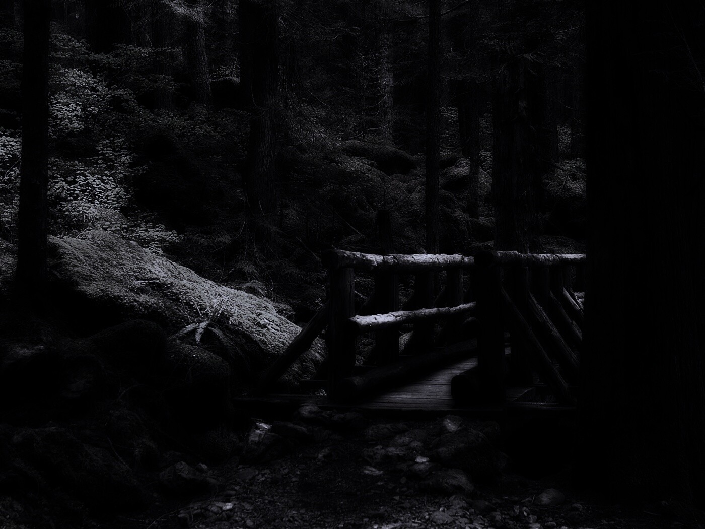 Бревенчатый мост в лесу обои