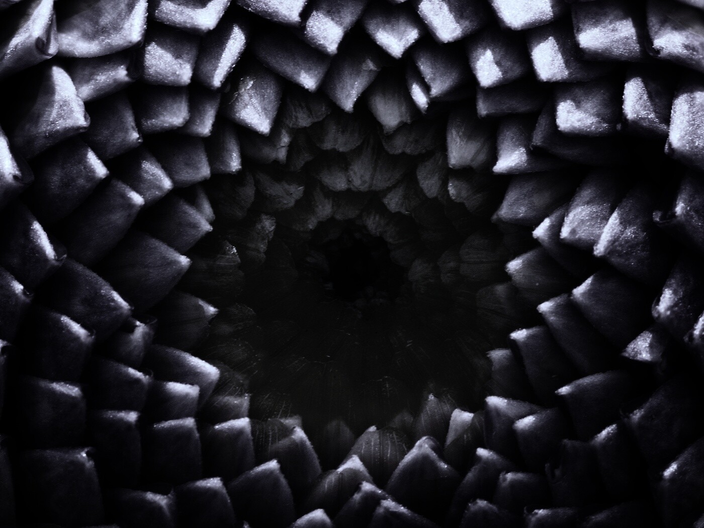 Сердцевина цветка обои