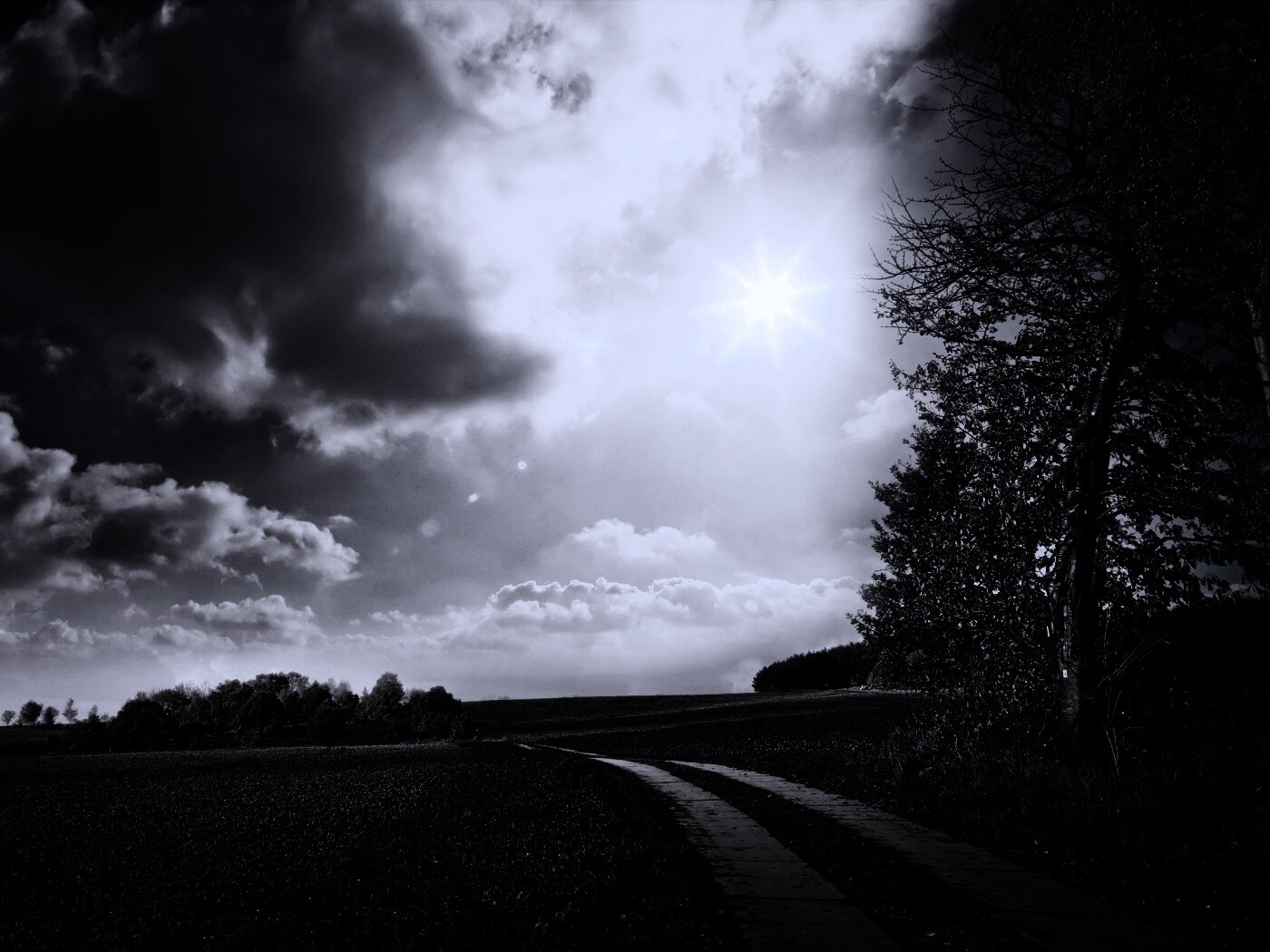 Солнечные холмы обои