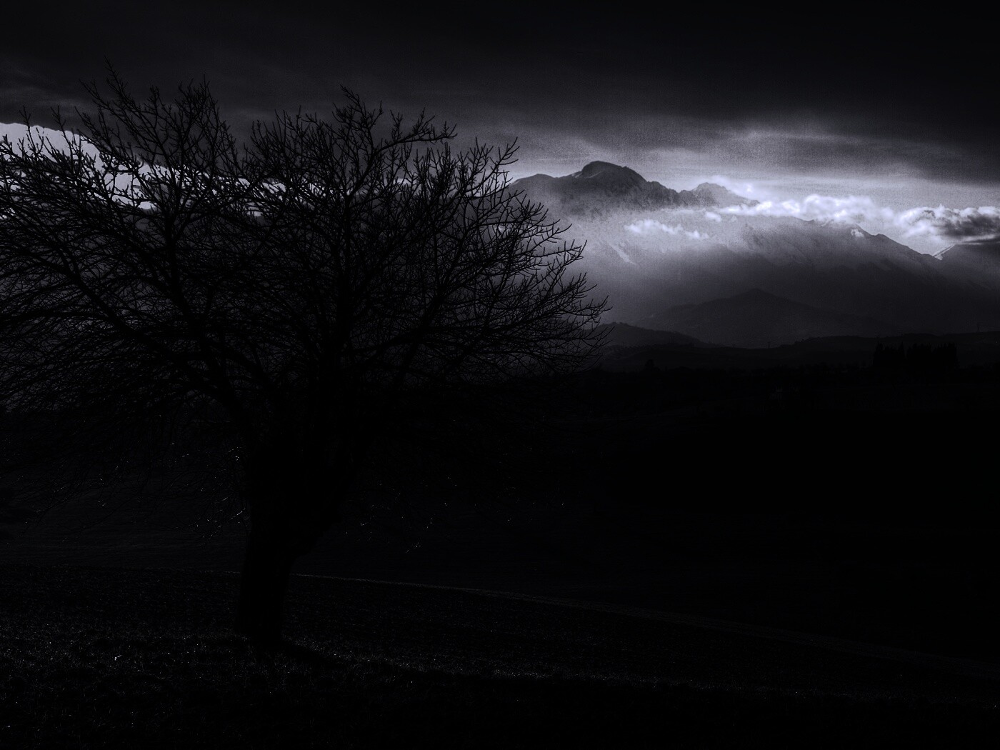 Дерево и горы обои