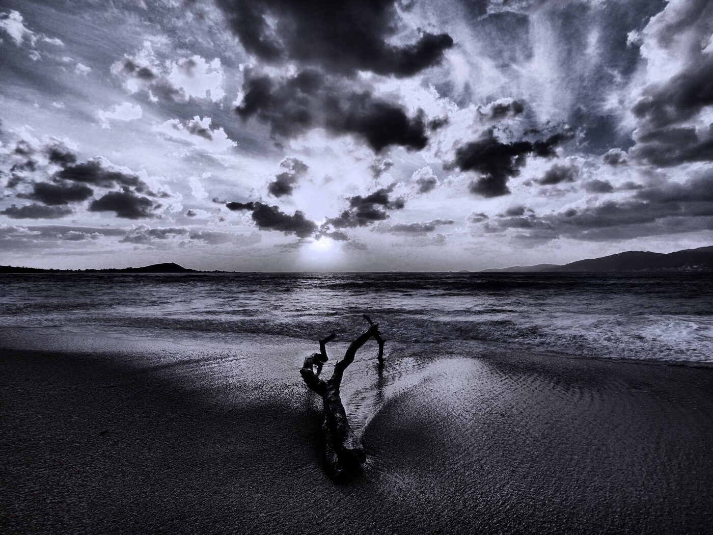 Коряга на пляже обои