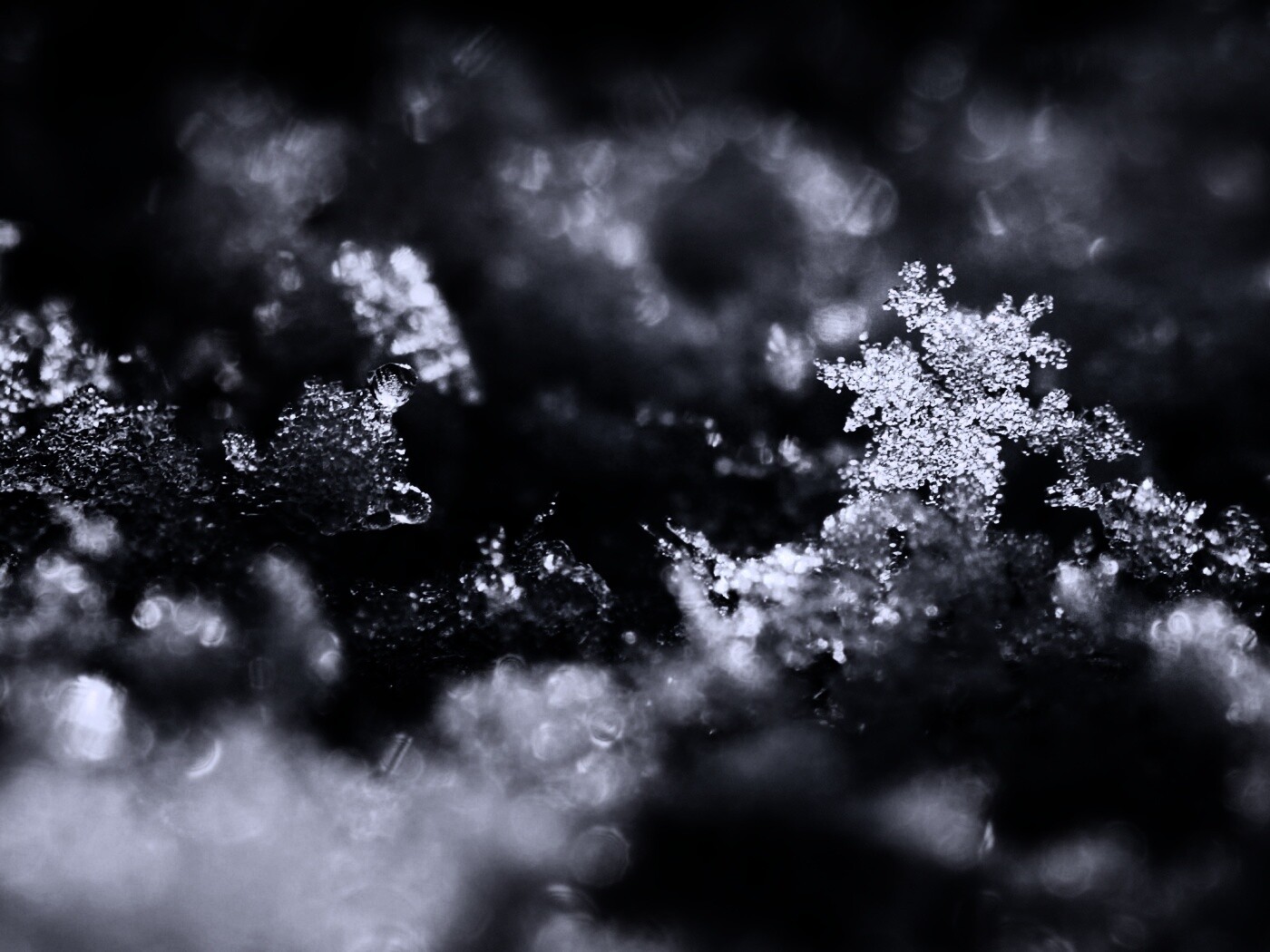 Макро фото снега обои