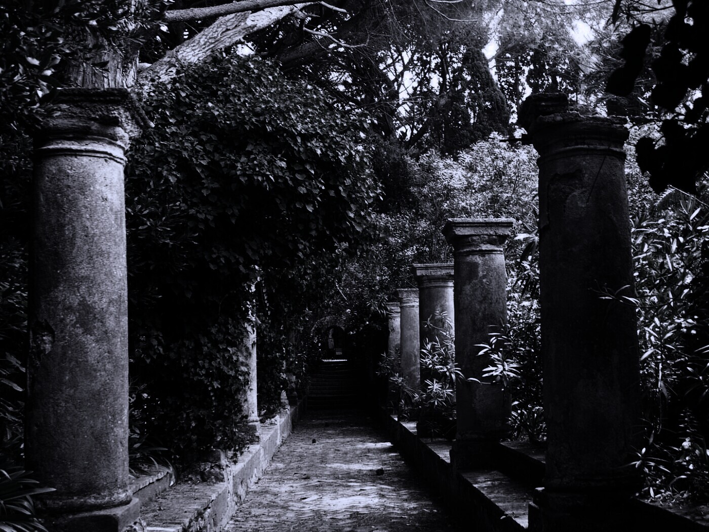 Галерея зимнего сада обои