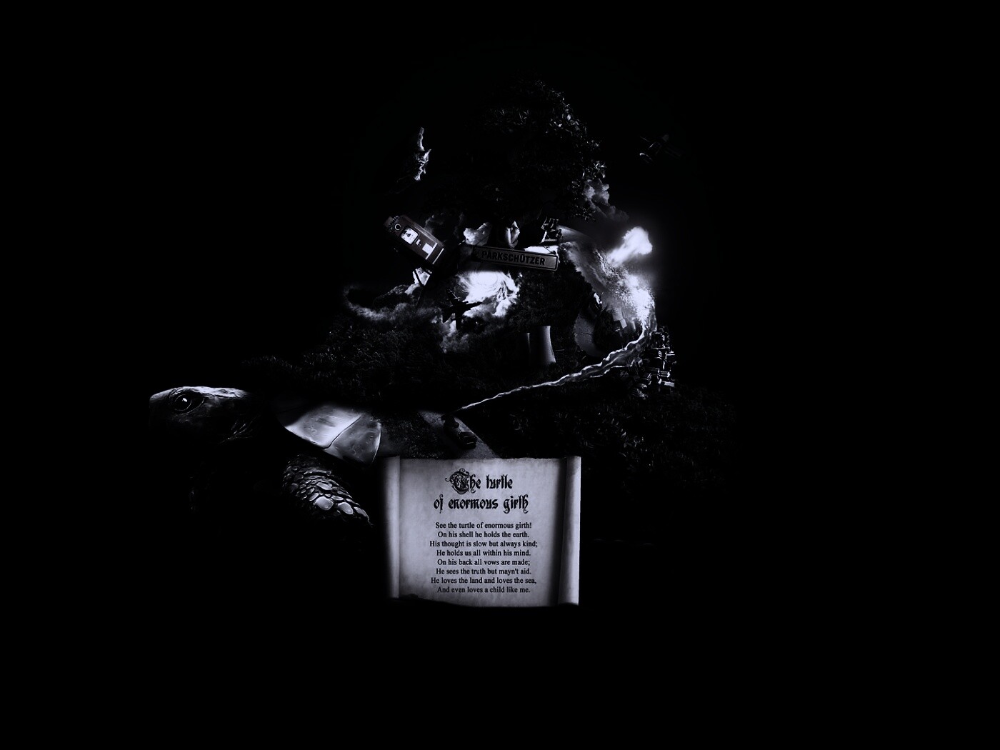 Огромная в обхвате черепаха обои