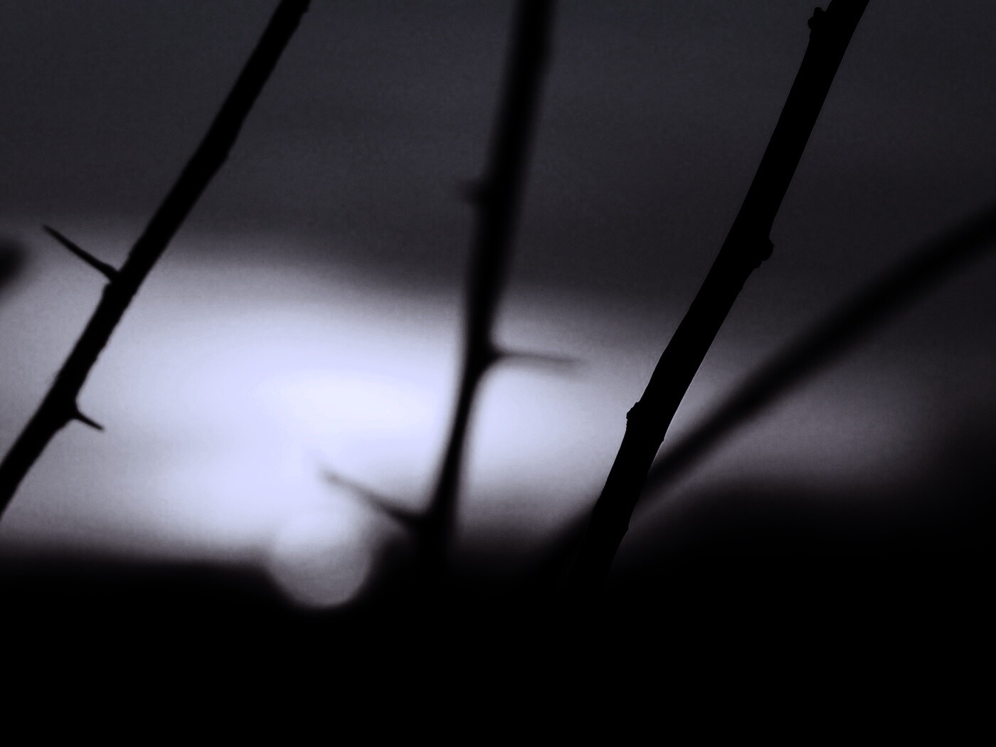 Закат солнца в поле обои