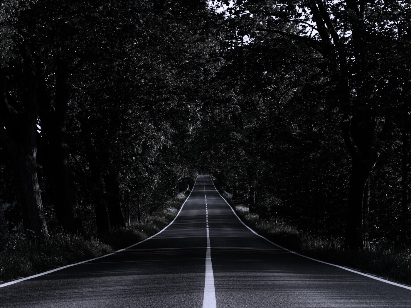 Под горку и в лес обои