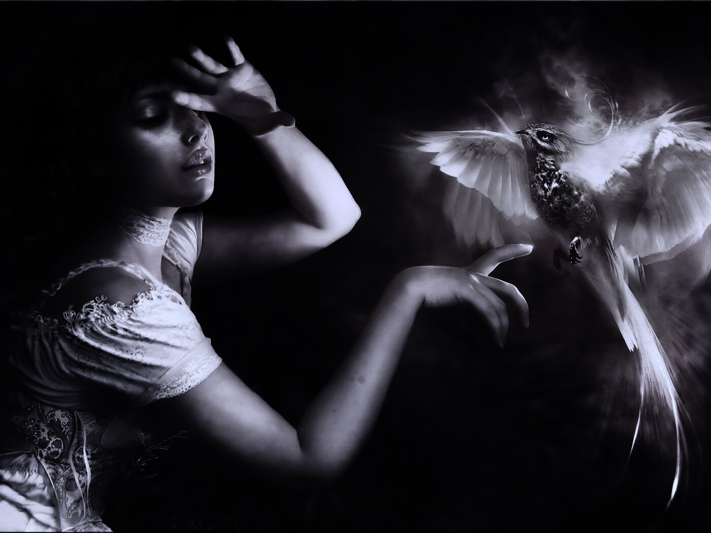 Феникс обои