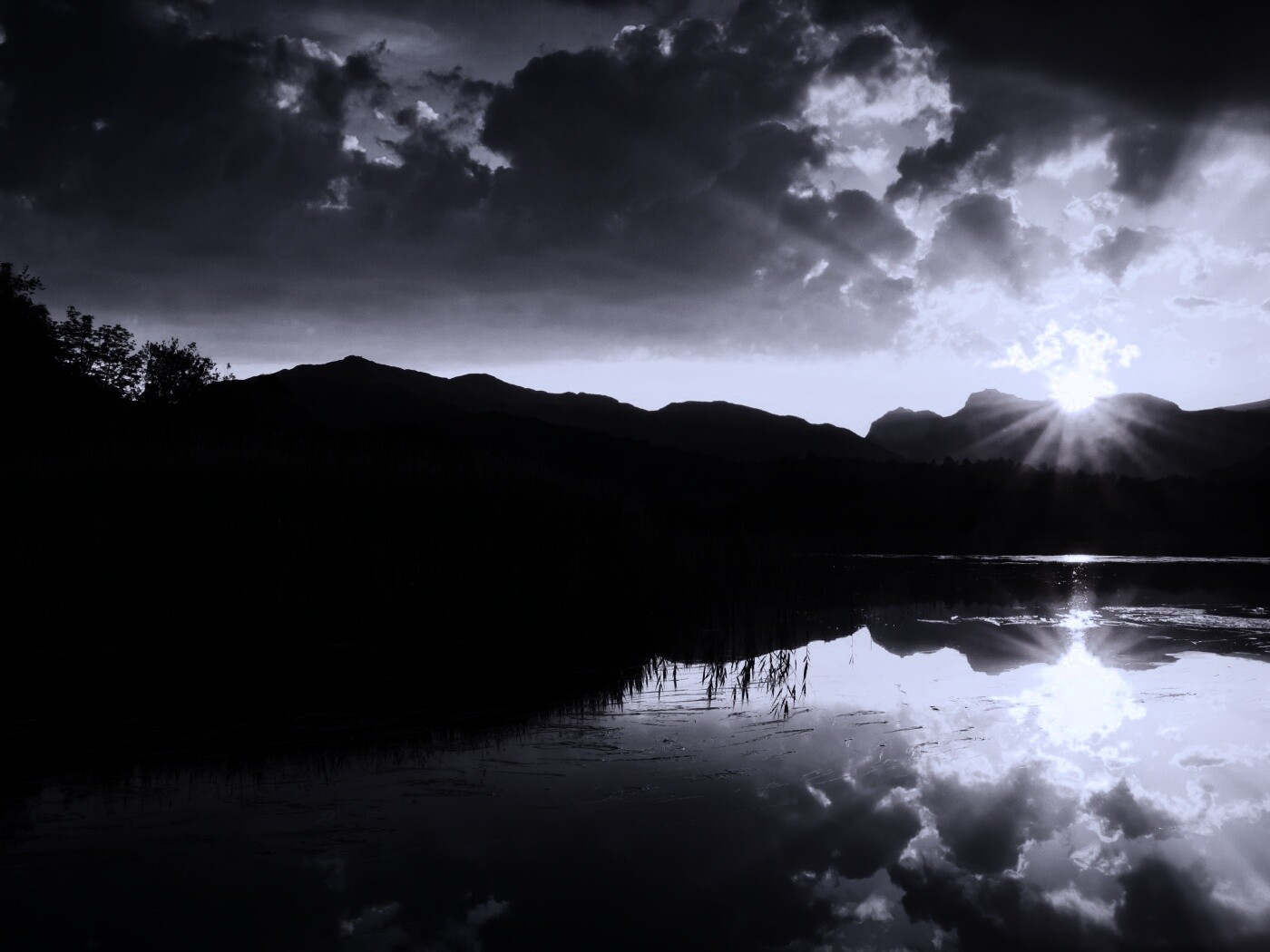 Закат за лесом обои