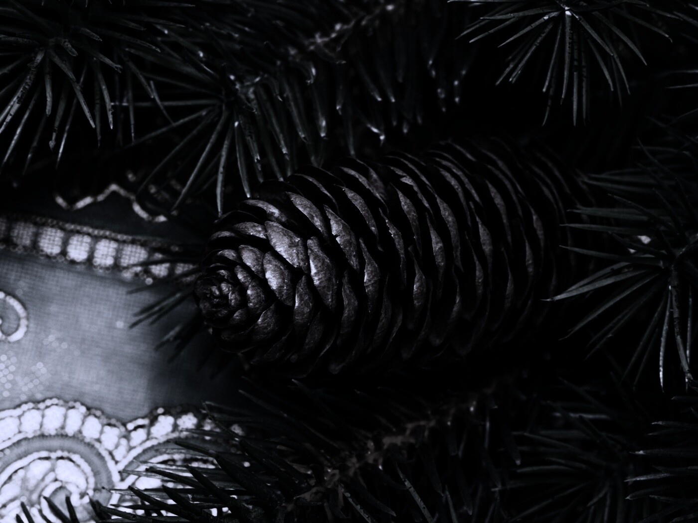 Шишка на елке обои