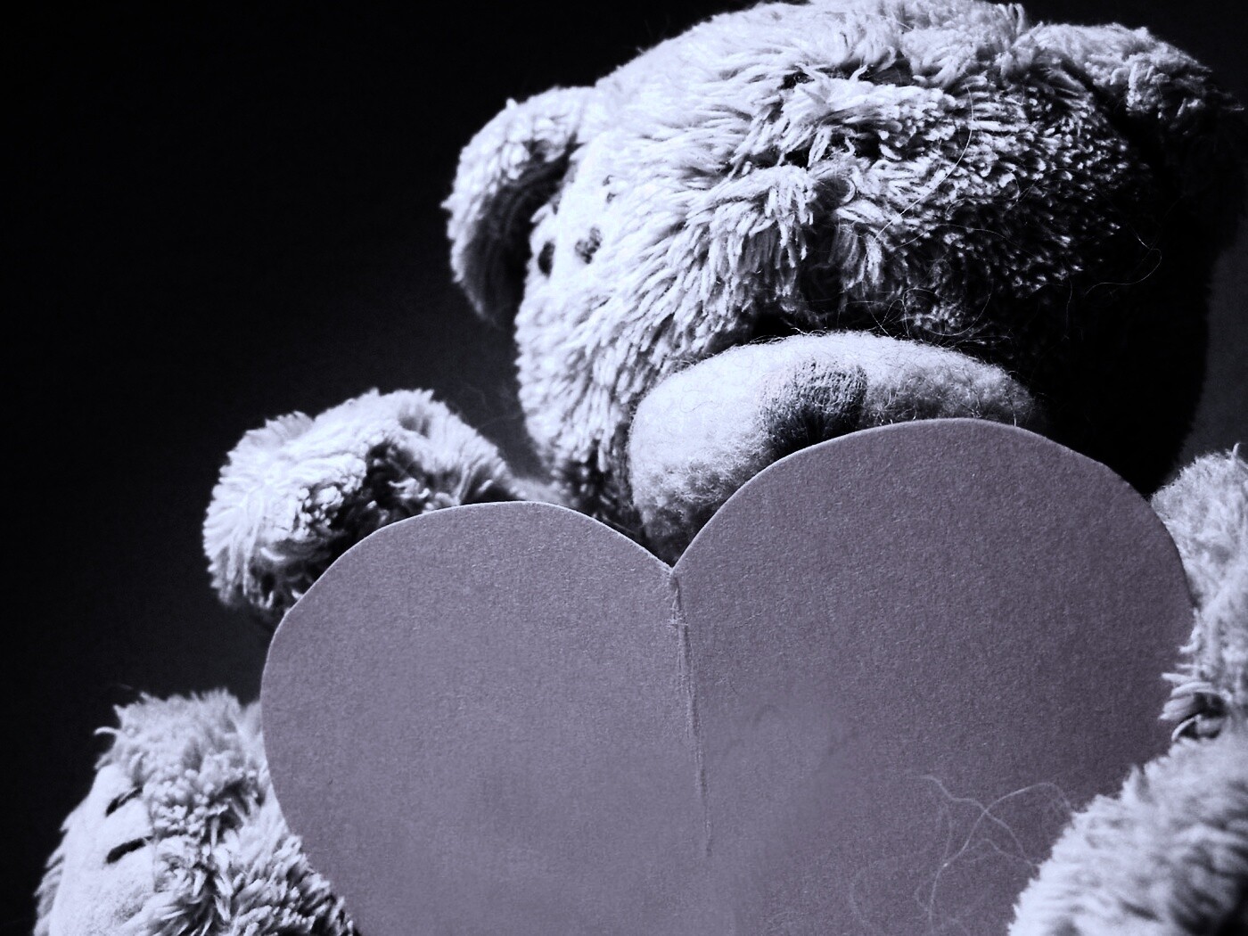 Мишка с сердцечком обои