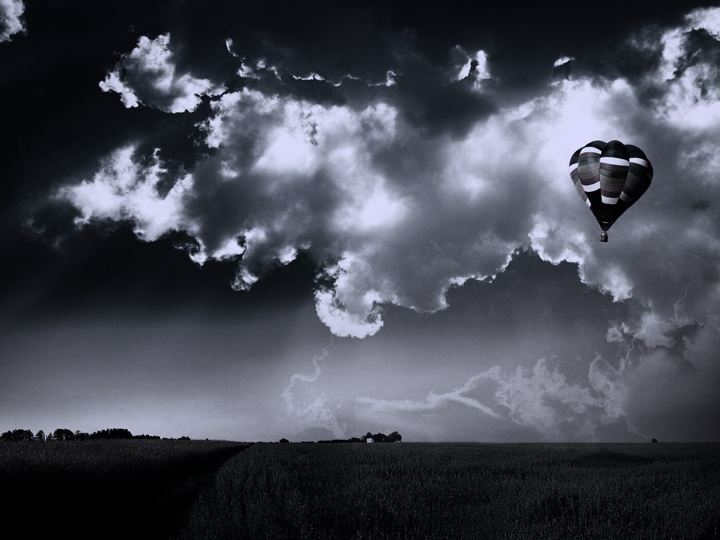 Воздушный шар над зеленым лугом обои