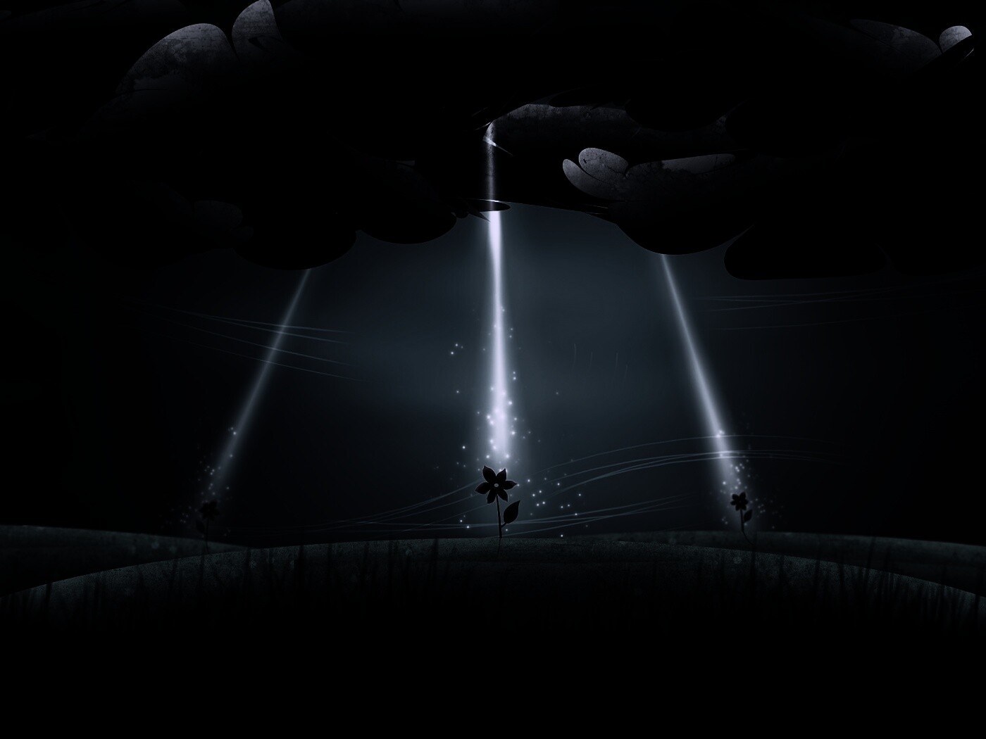 Свет для цветов обои