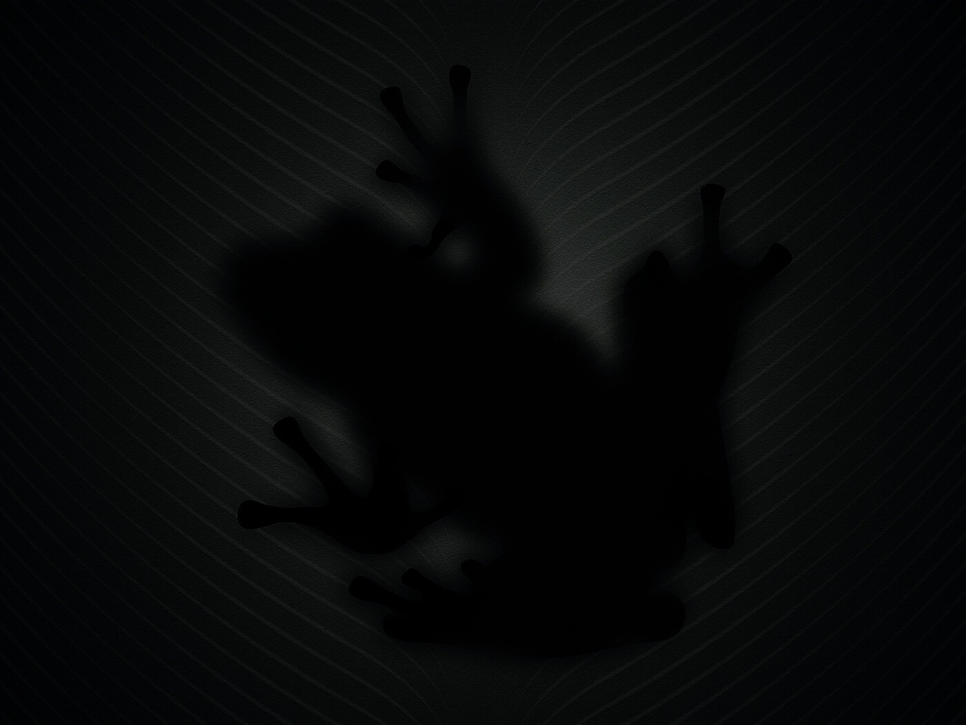 Силуэт лягушки просвечивает сквозь зеленый лист обои