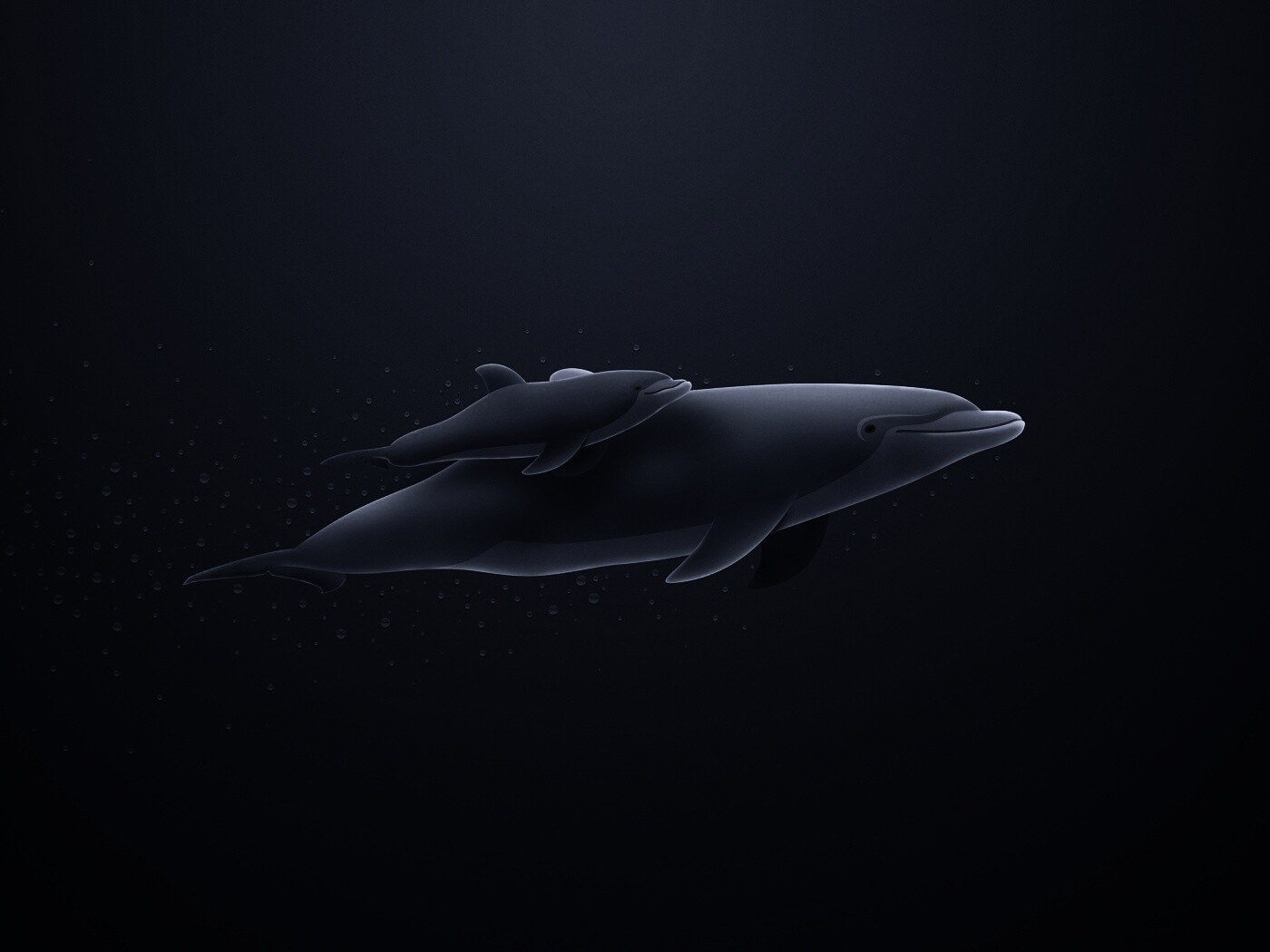 Дельфин и дельфиненок обои