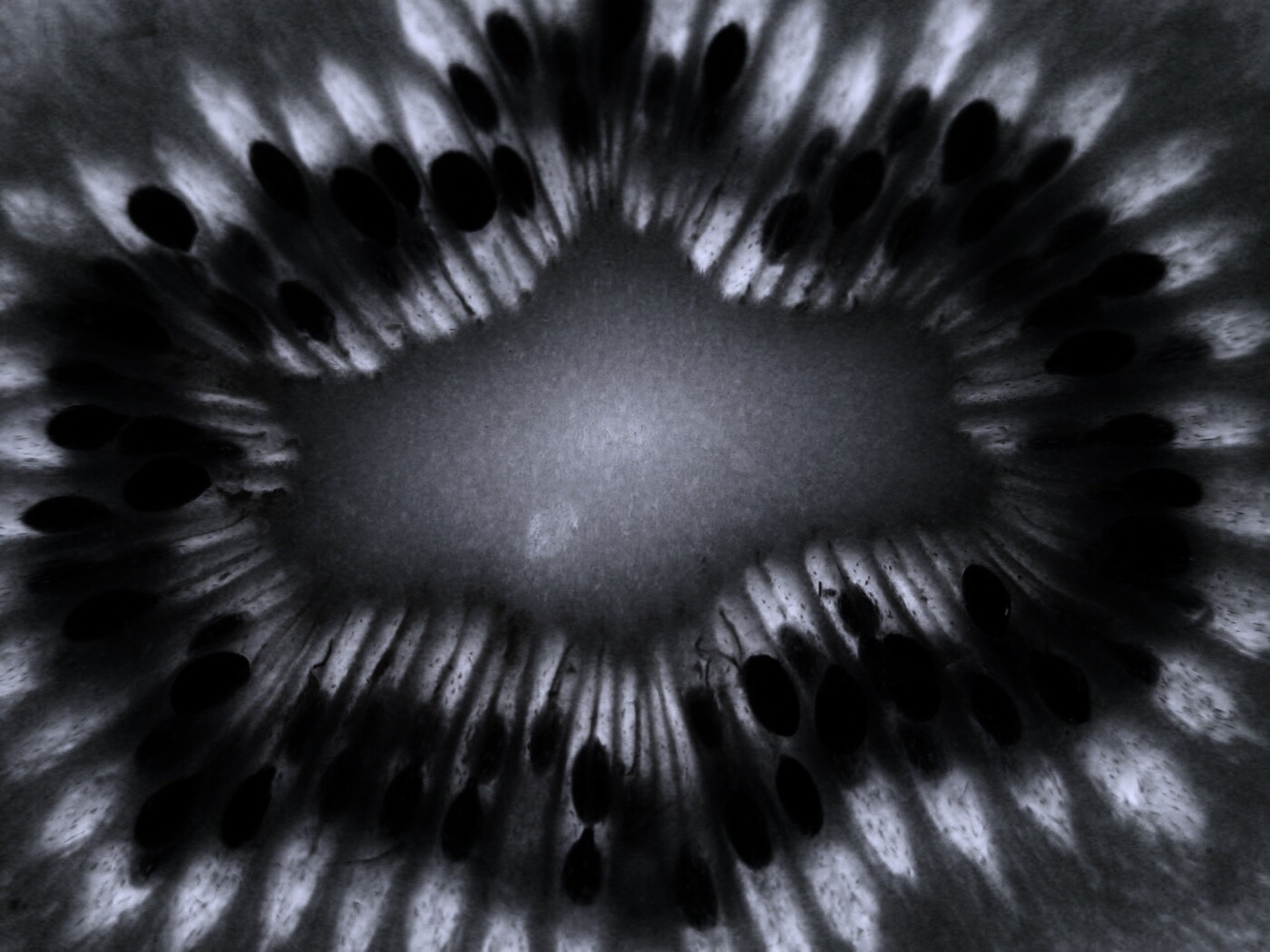 Макро фото киви в разрезе обои