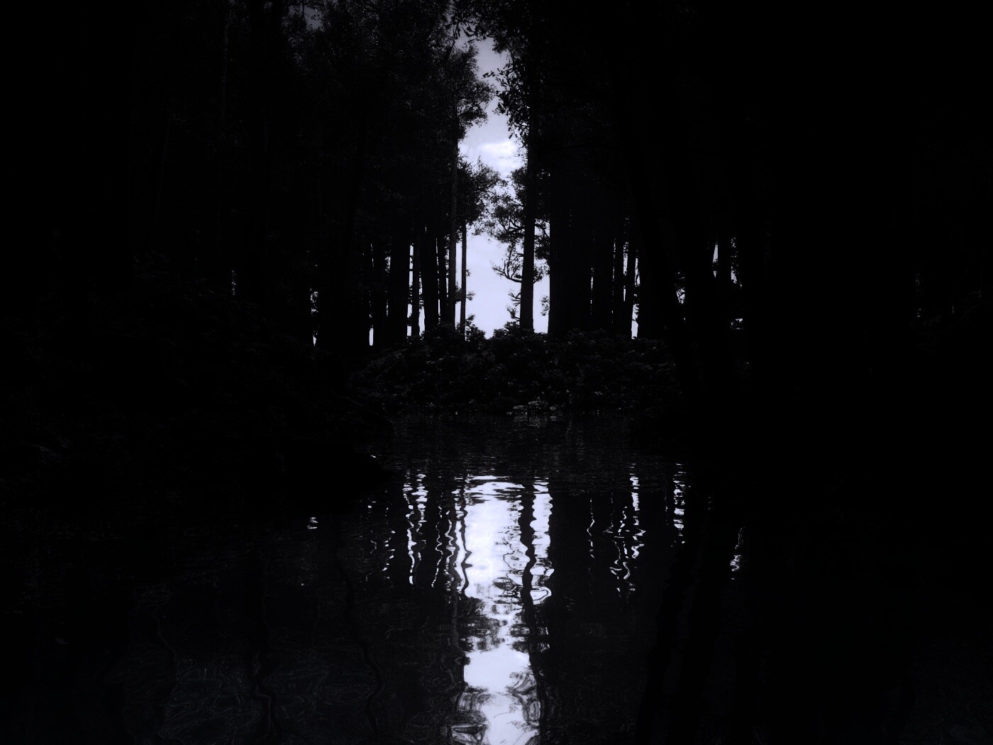 Болото в лесу обои