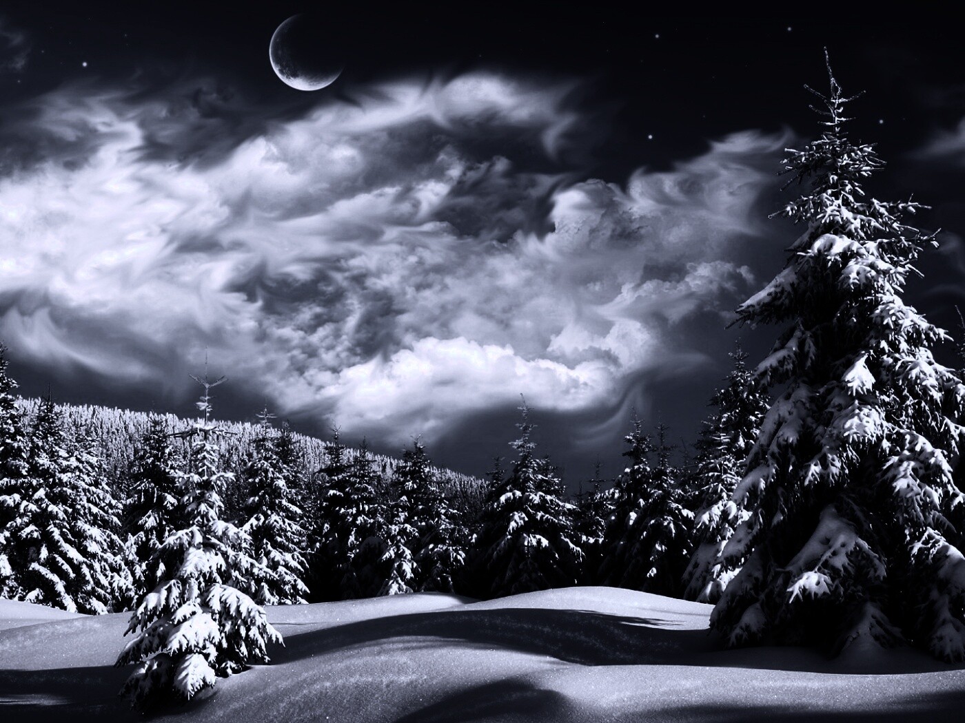 Зимний еловый лес обои