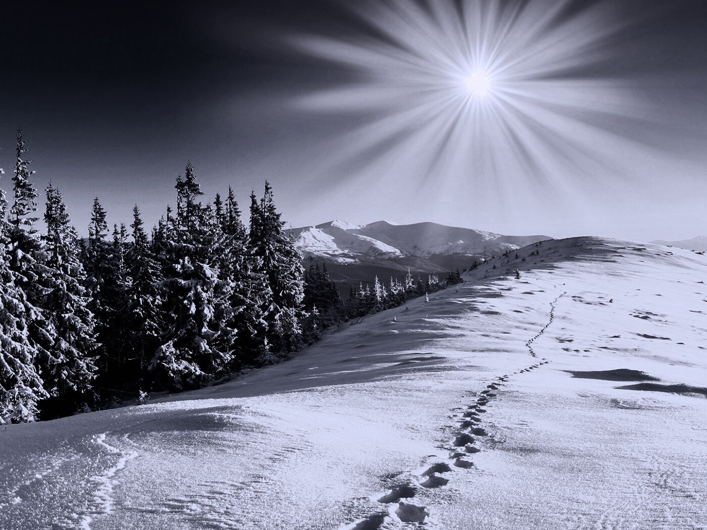 Холодные лучи зимнего солнца обои