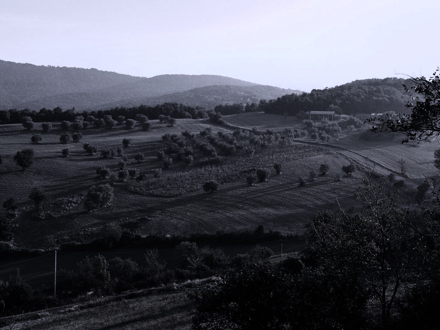 Ферма в долине обои