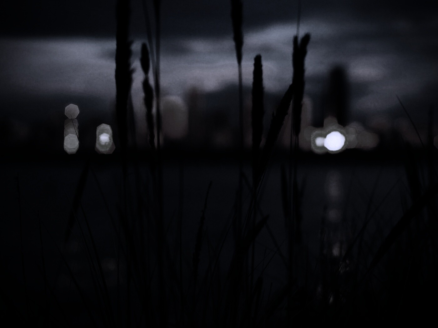 Камыш на фоне вечерних огней обои