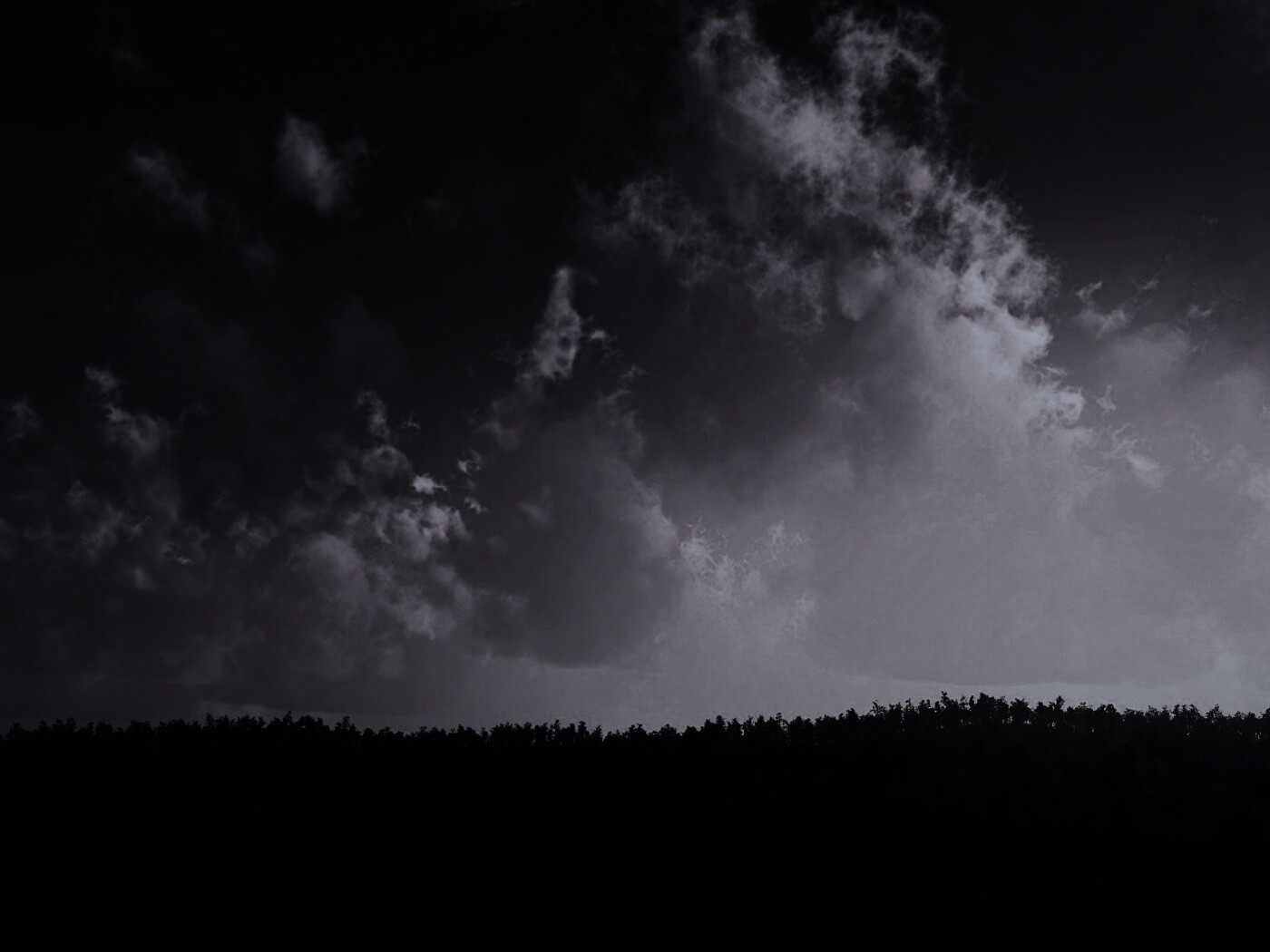 Закат над лесом обои