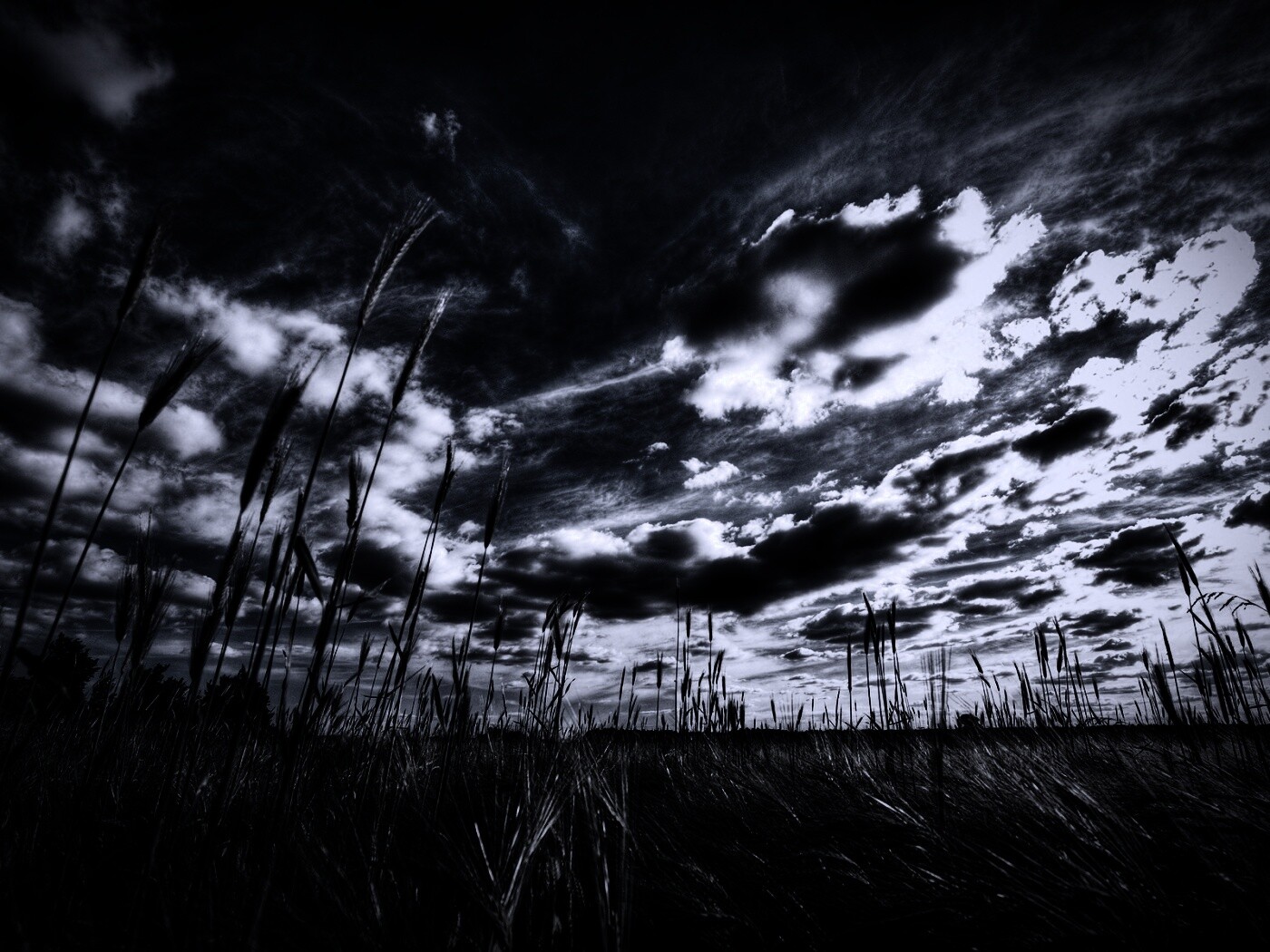 HDR Поле обои