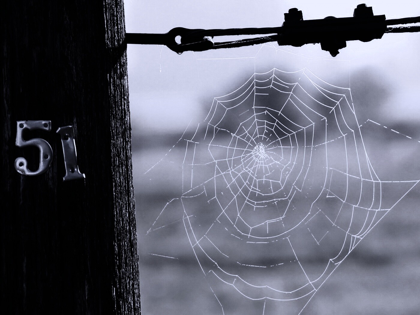 Паутина 51 обои