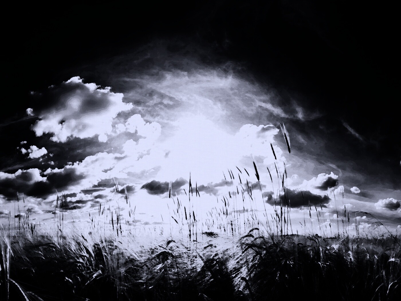 Сюрреалистичная трава обои