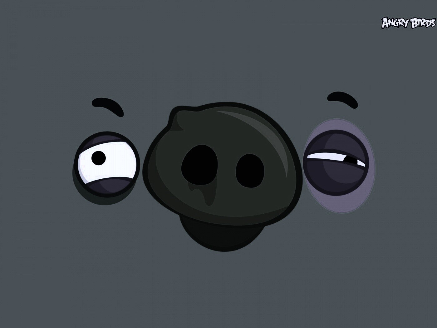 Свинья из Angry Birds обои