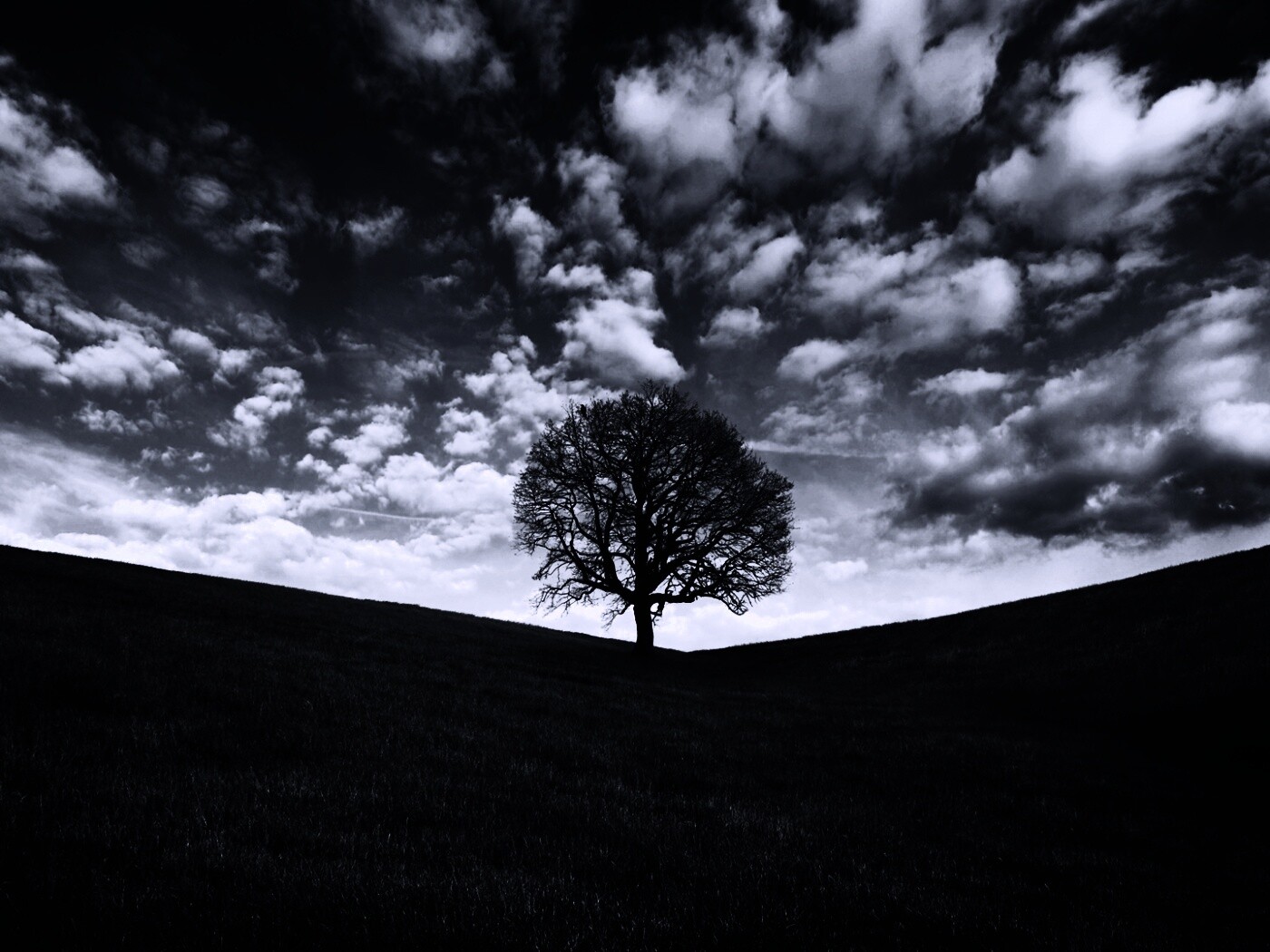 Холм одинокого дуба обои